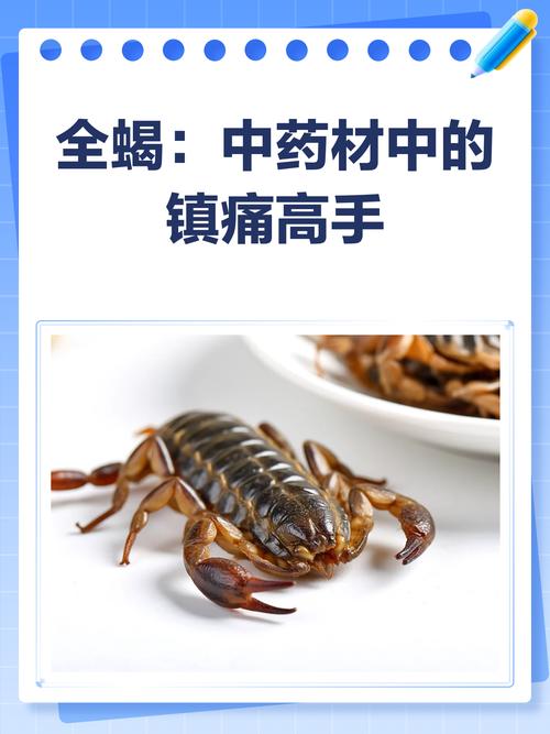 治风湿一天吃几个蝎子