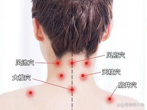 风池穴位处经常酸痛