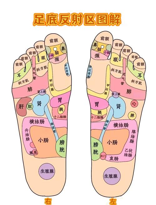 脚上癌症止痛穴位图
