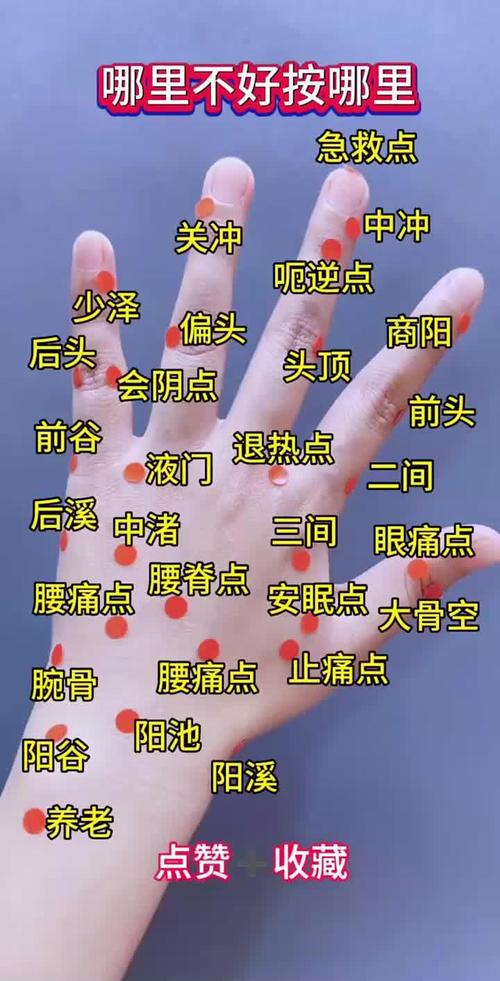 舌头硬手麻调理穴位