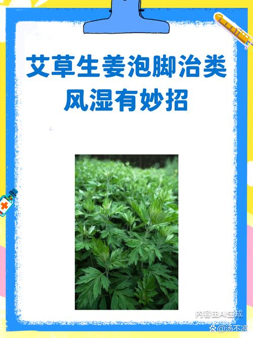 风湿病用什么草药泡脚