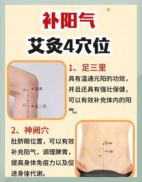 体内增加阳气的穴位