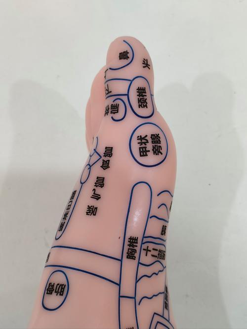 高血压按摩足部穴位