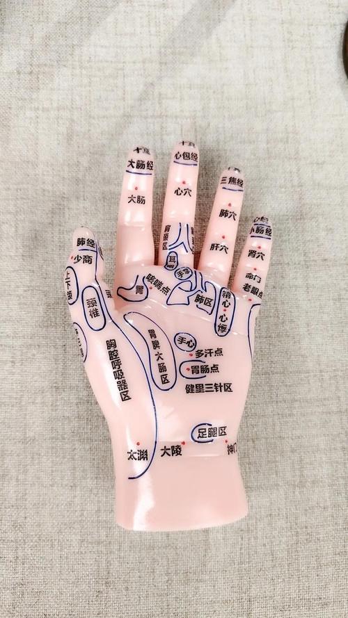 手上穴位高清大图片
