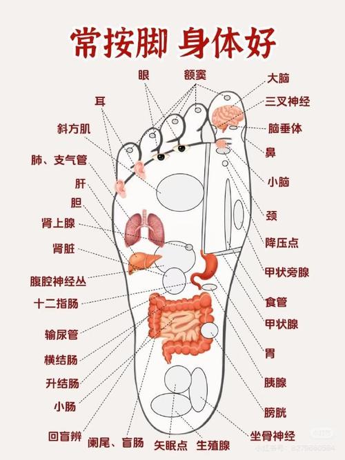 右脚小脚趾对应穴位