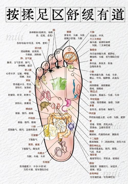 右脚小脚趾对应穴位