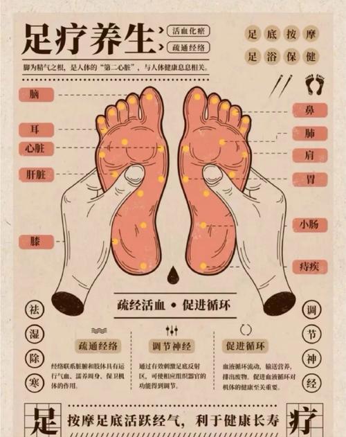 中华好养生穴位养生