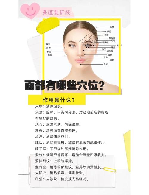 面部穴位图怎么画法