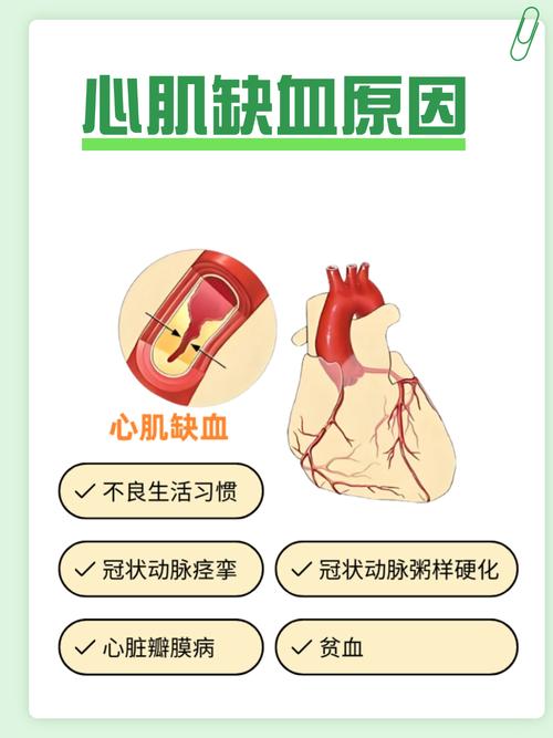 风湿性心脏病贫血原因