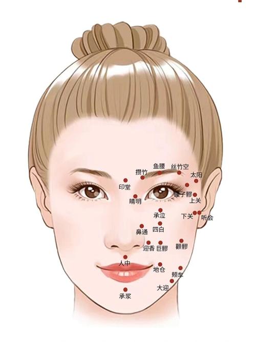 面部减肥按摩穴位图