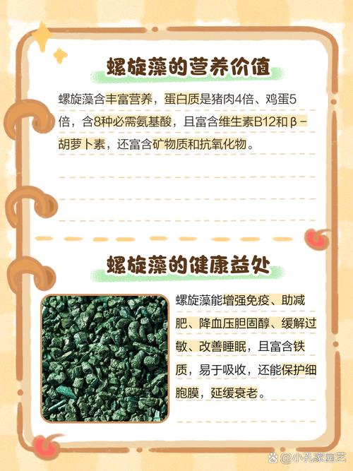 脑梗病人能吃螺旋藻吗