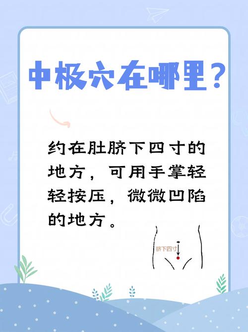 中极穴位地点及作用