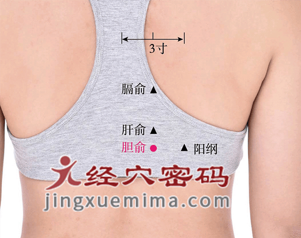 胆囊的有效穴位按摩