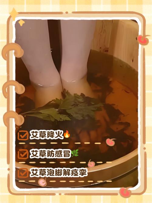 泡艾叶对类风湿有用吗