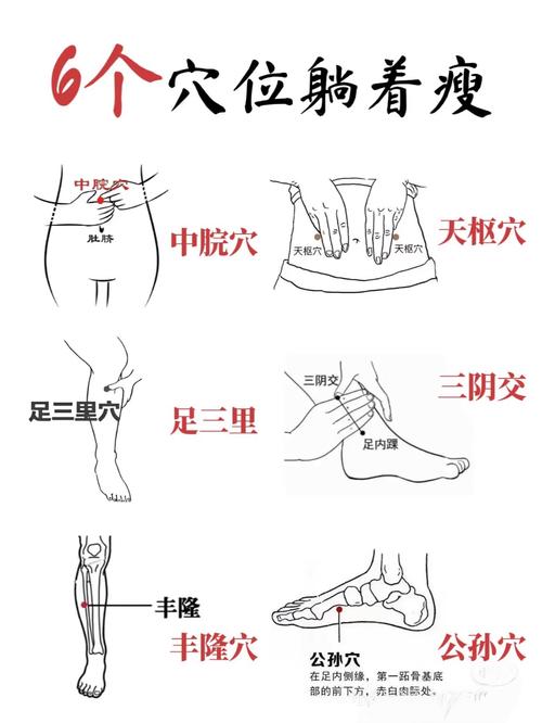 肚腩减肥按什么穴位