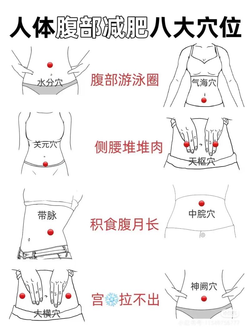 肚腩减肥按什么穴位