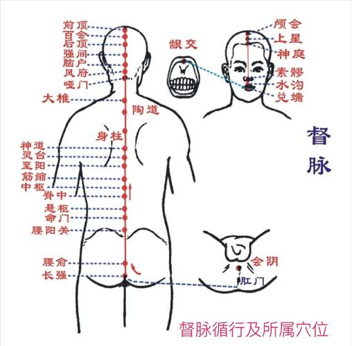 督脉刮痧刮哪些穴位