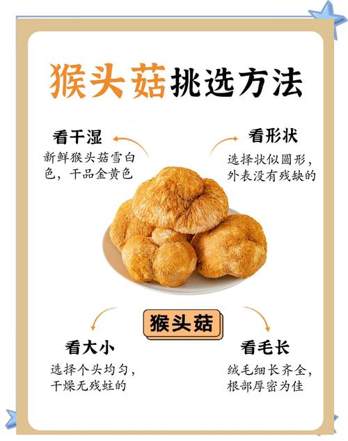 类风湿可以吃猴头菇吗