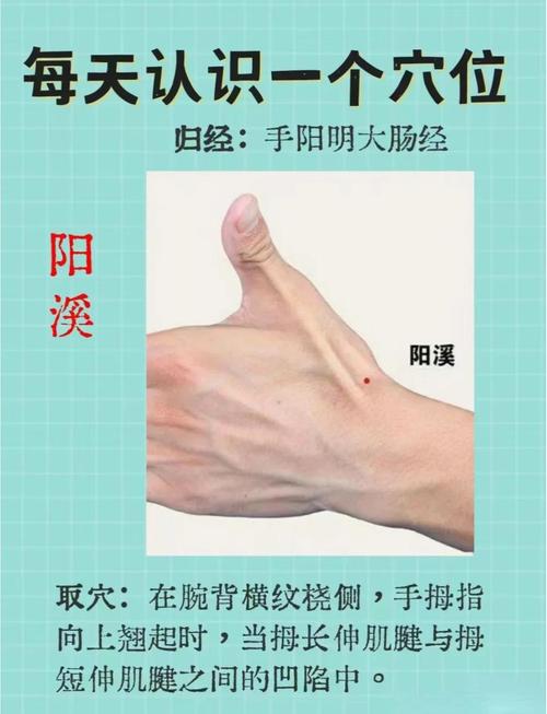 手腕中间有哪些穴位