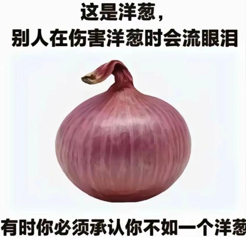 脑梗的人可以吃洋葱吗