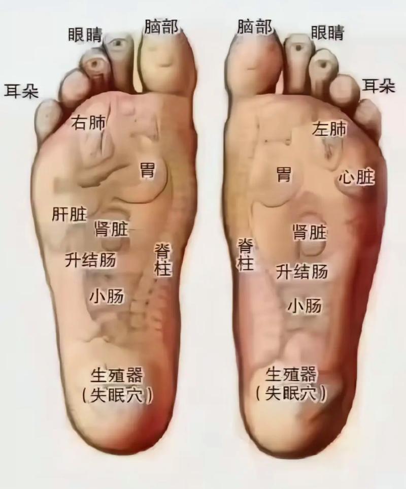 脚底什么穴位治颈椎