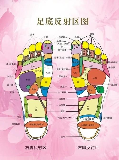 脚底什么穴位治颈椎