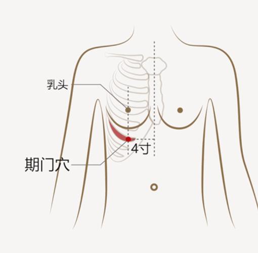 治疗房性早搏的穴位