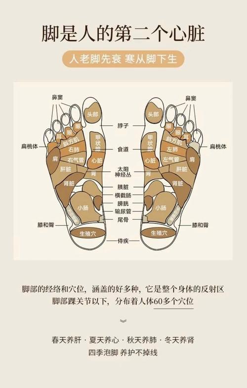 脚底穴位按摩降血压