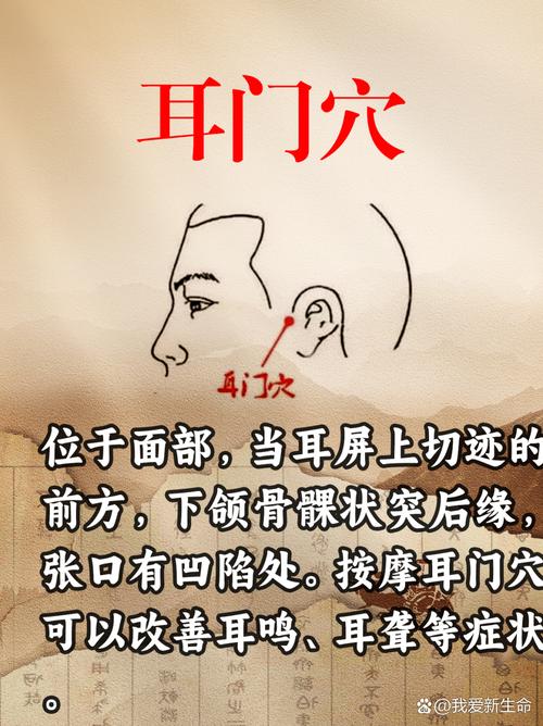 治耳聋耳呜按摩穴位