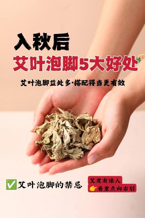 风湿可以用艾叶泡脚吗