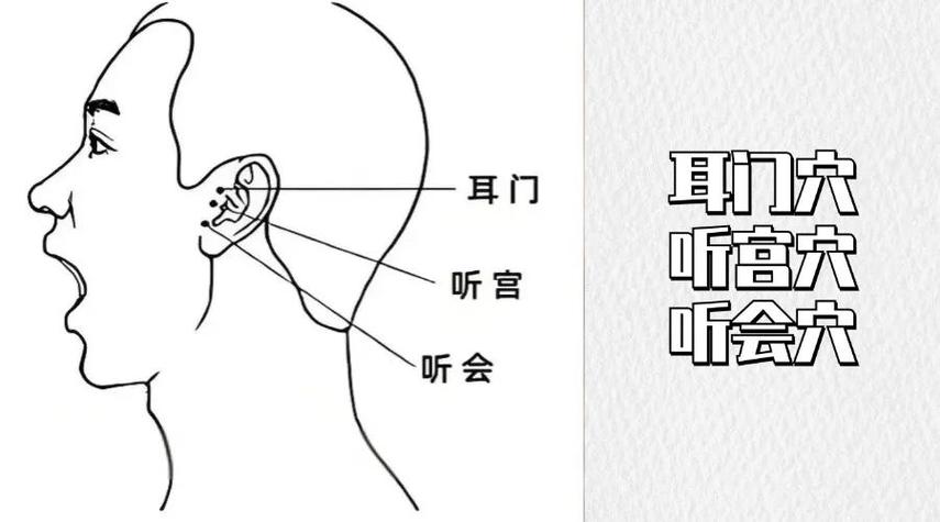 耳朵后面叫什么穴位