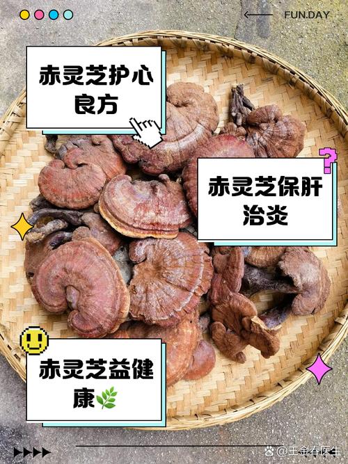 有脑梗的人能吃灵芝吗