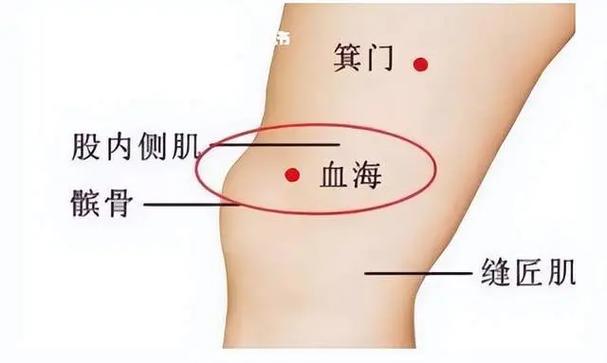 阴囊潮湿按什么穴位