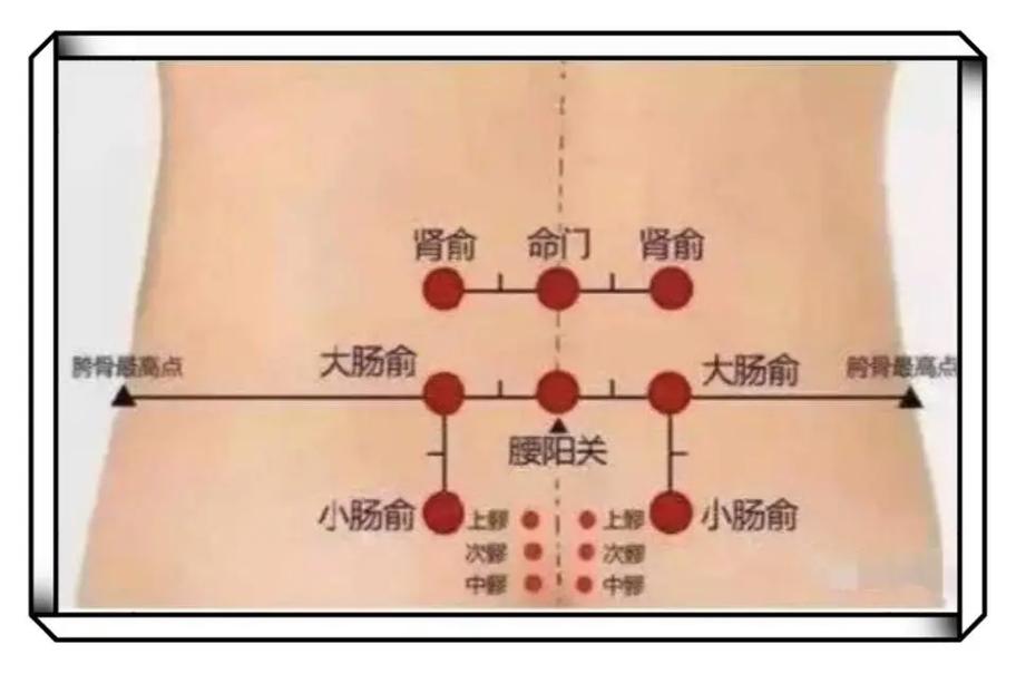 治腰椎突出艾灸穴位