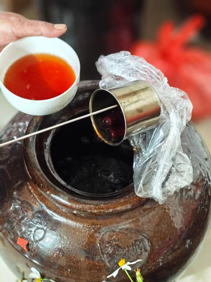 老人风湿能喝桑子酒吗