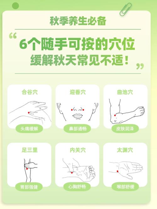 脑萎缩按摩什么穴位