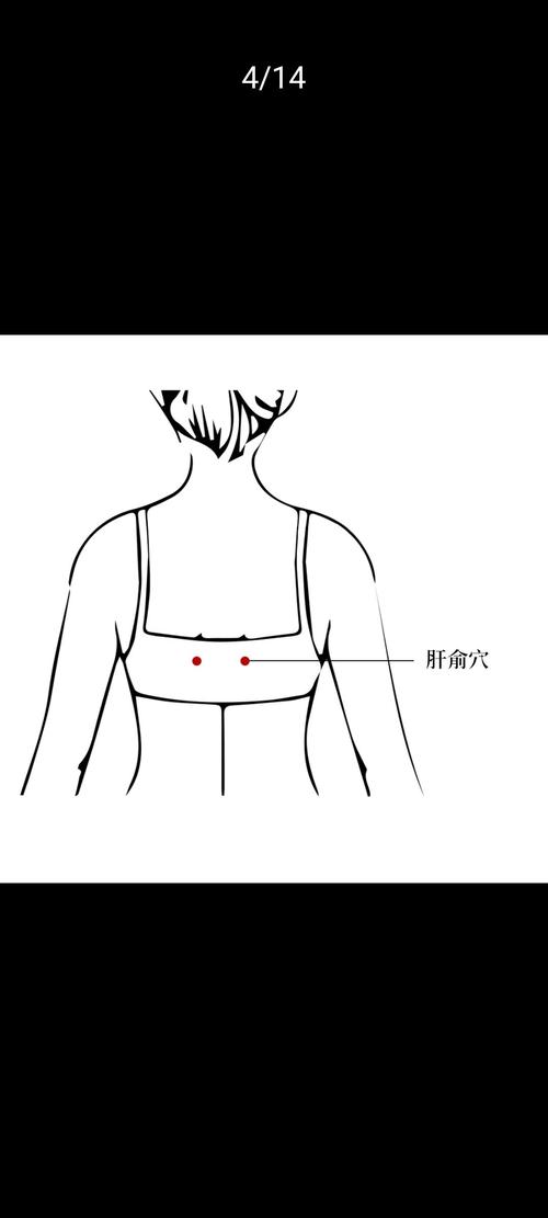 人体哪些穴位治肝炎