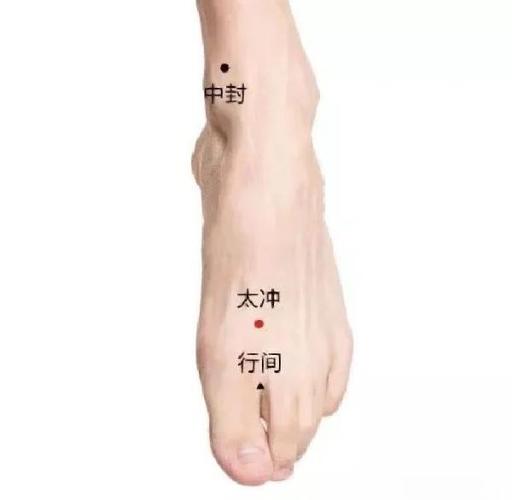 胆红素高按哪个穴位