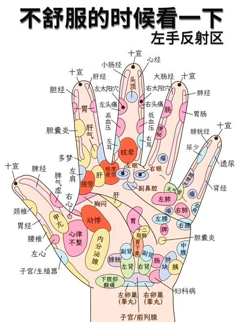 手穴位治疗卵巢早衰