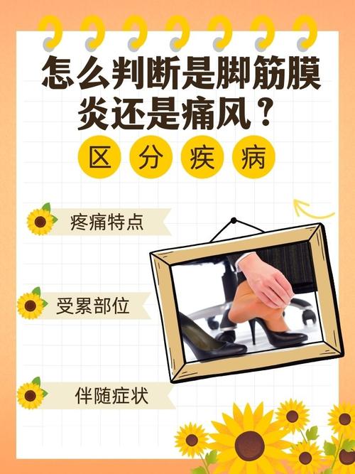 风痛和风湿有什么区别