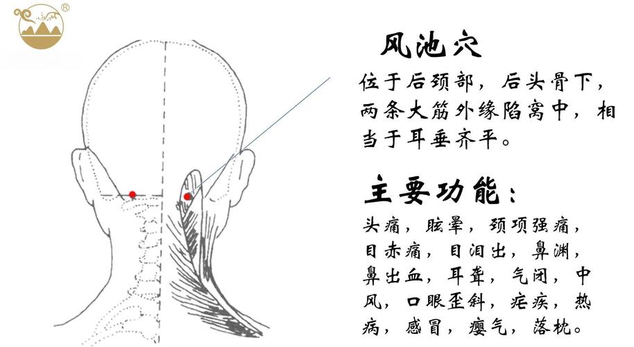 中风按摩哪些穴位好