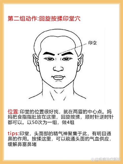 鼻塞应该按什么穴位