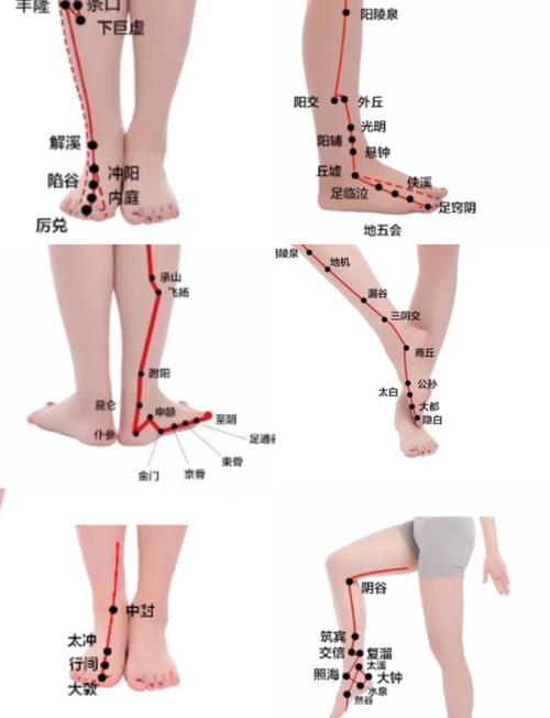 后脚踝上方什么穴位
