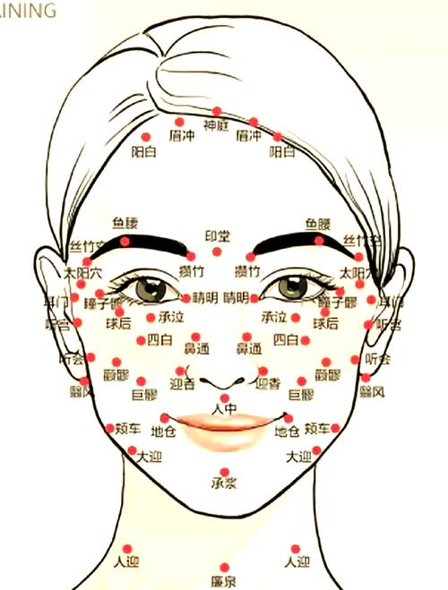 脸上细纹按什么穴位