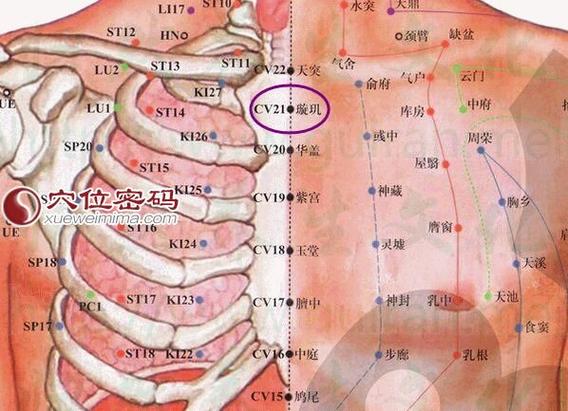 璇玑璇玑穴位位置图
