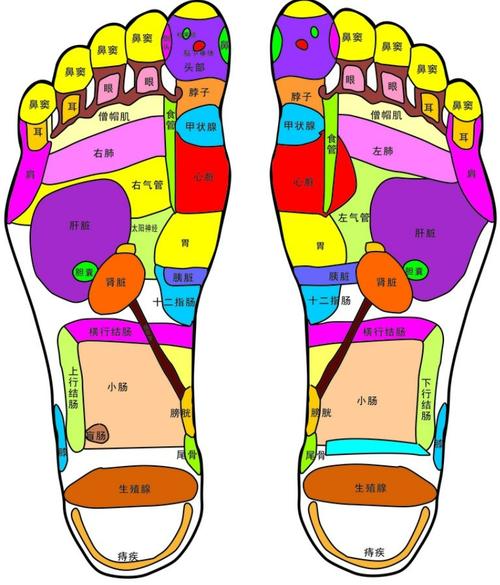 脚底有哪些重要穴位