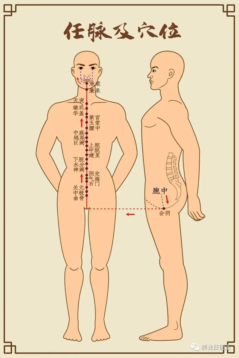 男性身体的每个穴位