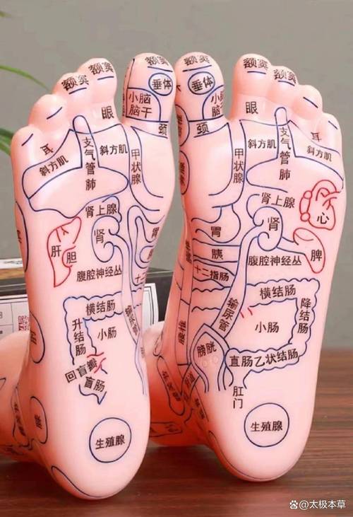 脚底哪个穴位对应腰