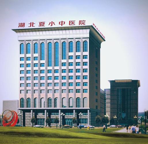 湖北省治疗风湿病医院