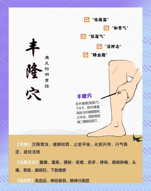 腿部穴位图 丰隆穴